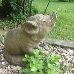 Au Fond Du Jardin Saint-Saëns