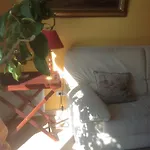 Au Fond Du Jardin Saint-Saens