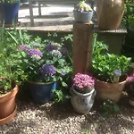 Au Fond Du Jardin