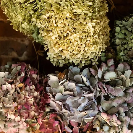 Au Fond Du Jardin