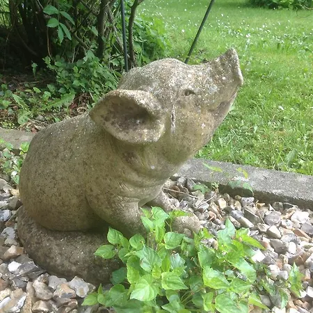 奥丰都加丁住宿加早餐旅馆 Saint-Saëns