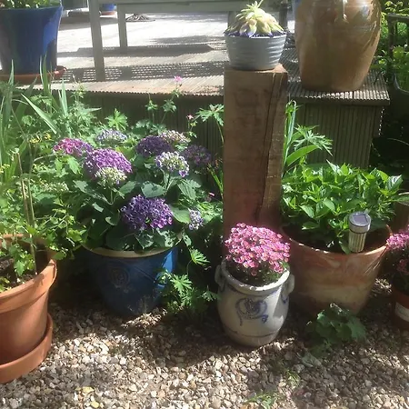 Au Fond Du Jardin
