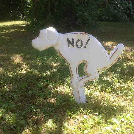 Au Fond Du Jardin 3* Saint-Saëns