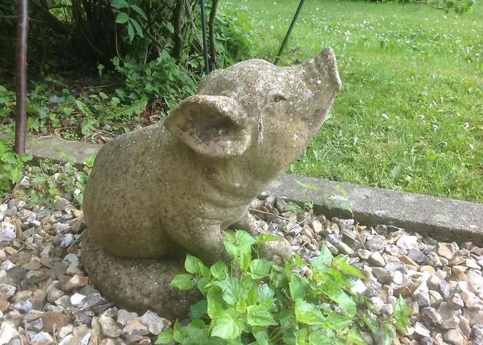 Au Fond Du Jardin Saint-Saens